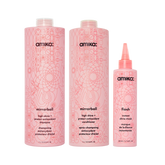 super-sized shine set mirrorball high shine + protect antioxidant shampoo + conditioner + flash mask