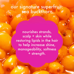 super-sized hydration set hydro rush intense moisture shampoo, conditioner + hair mask with hyaluronic acid